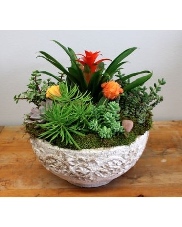 Stone Succulents Flower Arrangement