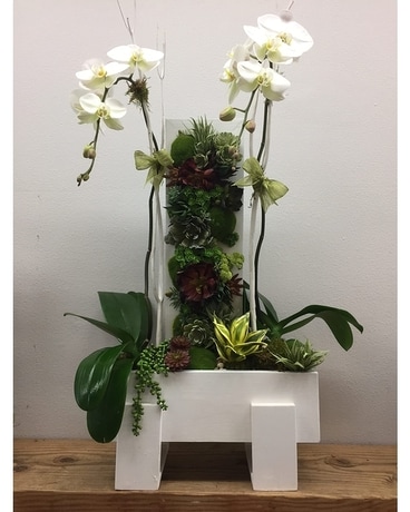 Fabulous Orchid & Succulent Garden Flower Arrangement