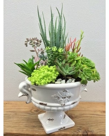 Succulent Garden Flower Arrangement