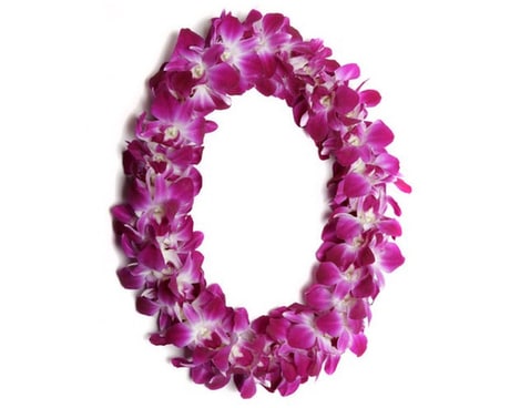 Graduation Lavender & White Lei Flower Arrangement