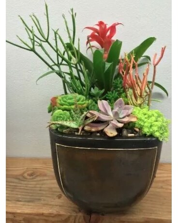 Succulent Sensation Flower Arrangement