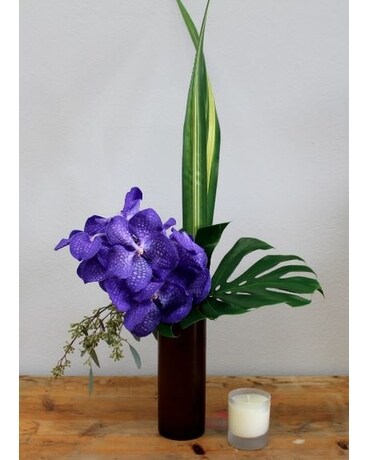 Vanda Orchid Arrangement Flower Arrangement