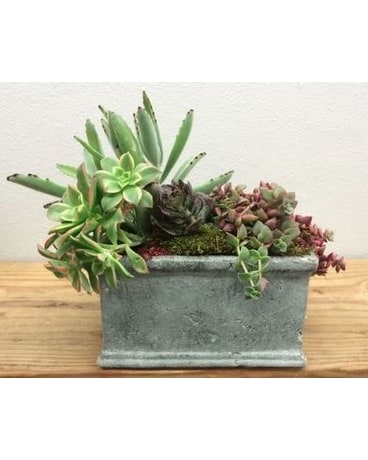 Overflowing Succulents Flower Arrangement