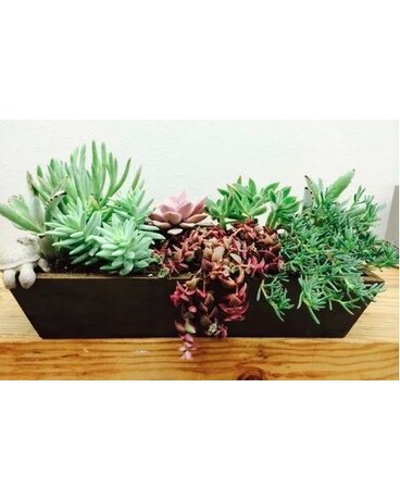Succulent Extravaganza Flower Arrangement
