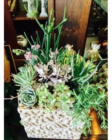 Succulents Wild Flower Arrangement