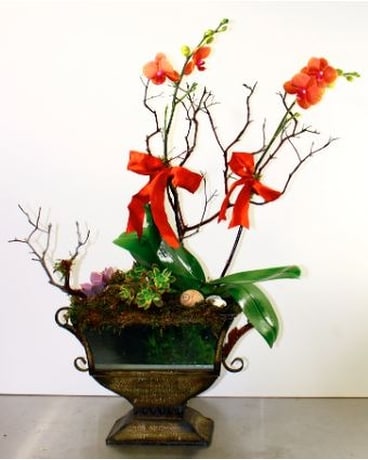 Orchids In Urn Flower Arrangement