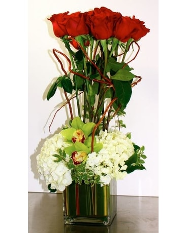 Modern Orchids And Hydrangeas & 1 Dozen Roses Flower Arrangement