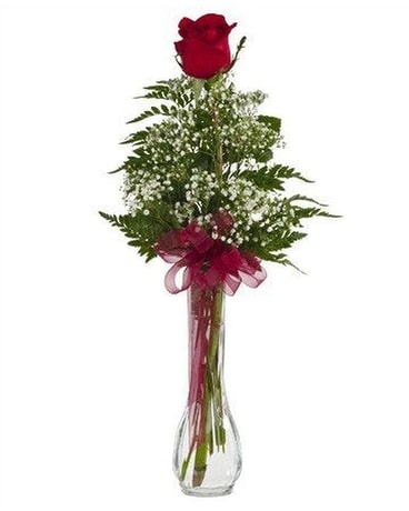 Single Rose Budvase Flower Arrangement