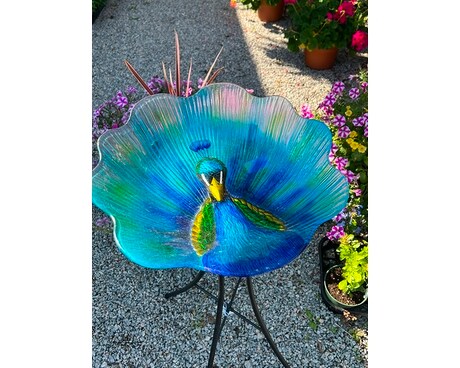 Garden Center Gifts