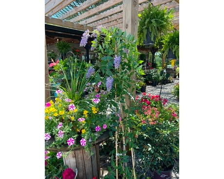 Garden Center Gifts
