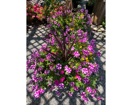 Garden Center Gifts