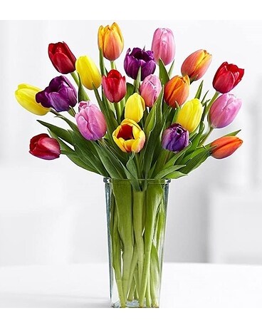 Mixed Tulips Flower Arrangement