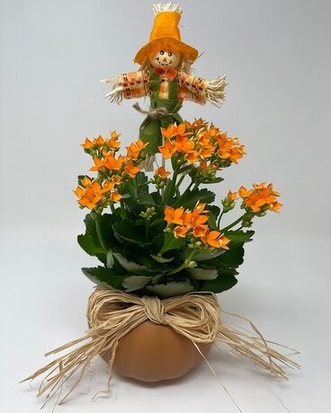 Fall Kalanchoe Planter Plant