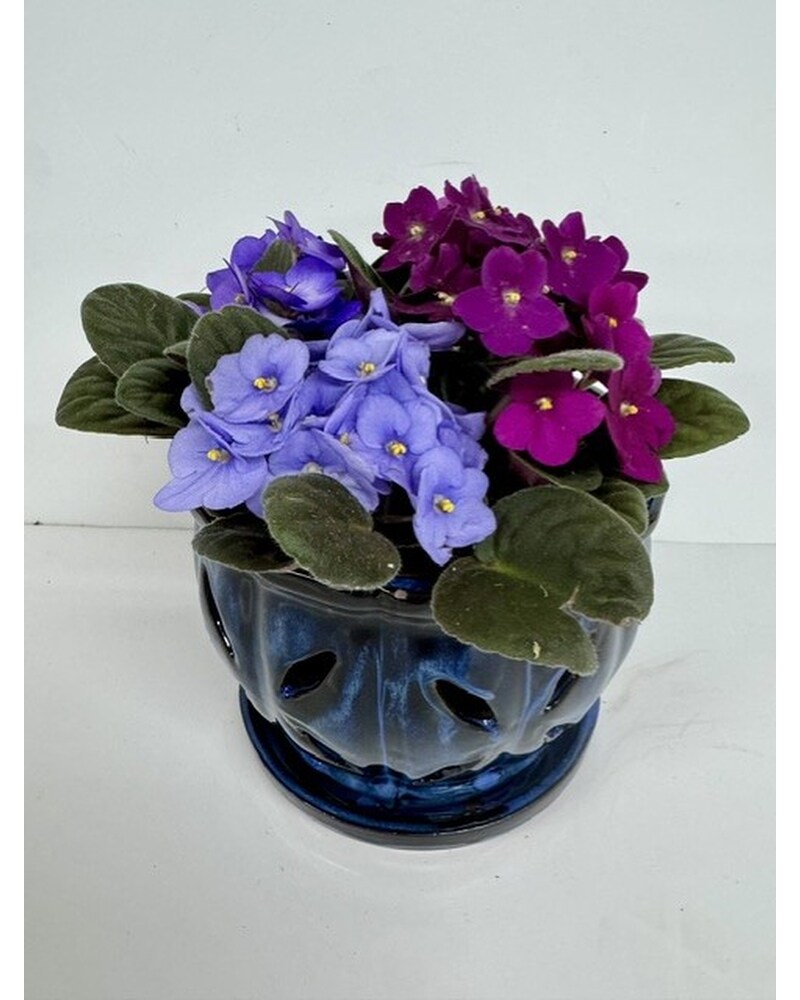 Get Well Flowers Delivery St. Joseph MO - Butchart Flowers Inc