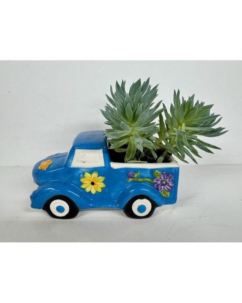 Get Well Flowers Delivery St. Joseph MO - Butchart Flowers Inc