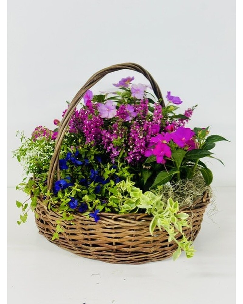 Plants Delivery St. Joseph MO - Butchart Flowers Inc & Greenhouse
