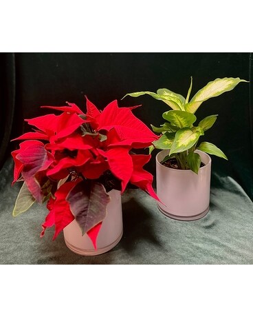 Harmonious Holiday Duo Flower Arrangement