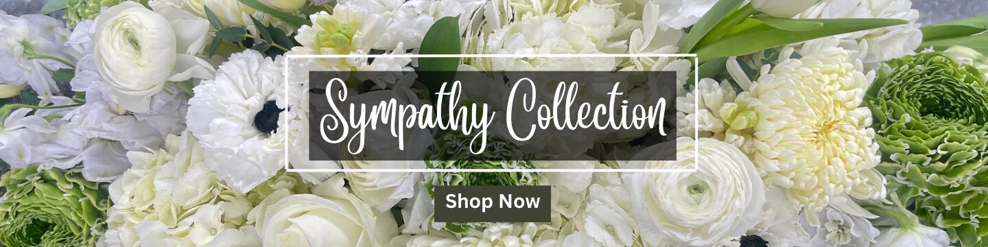 Sympathy home