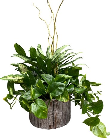 Bark Garden Flower Arrangement