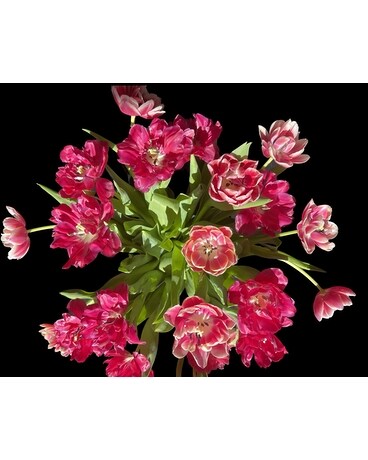 Jersey Style Tulips Flower Arrangement