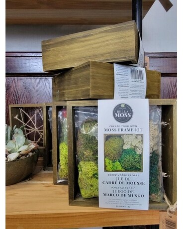 Preserved Moss Frame Kit Flower Arrangement