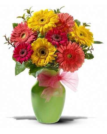 Standard size, 15 inches height and 11 inches wide.