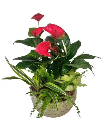 Plants Delivery Tillsonburg ON - Margarets Fernlea Flowers & Gifts