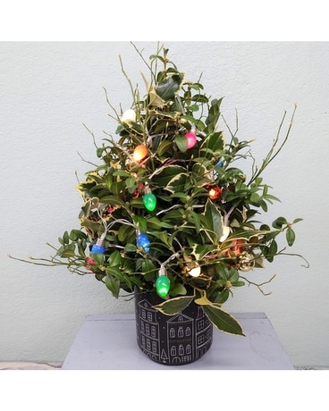Oh Tannenbaum Flower Arrangement