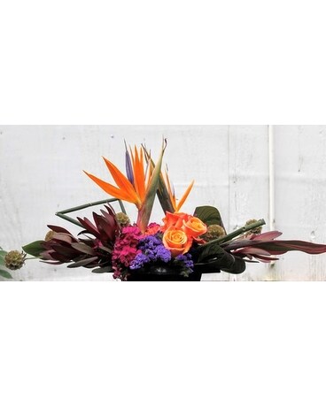 FBSDE19 Centerpiece