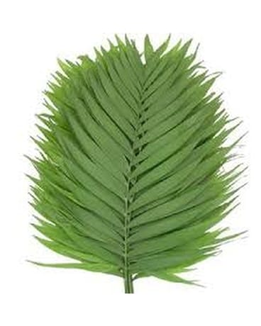 Palm Emerald Flowers