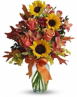  Standard size, 16 and a half inches height and 13 inches wide.