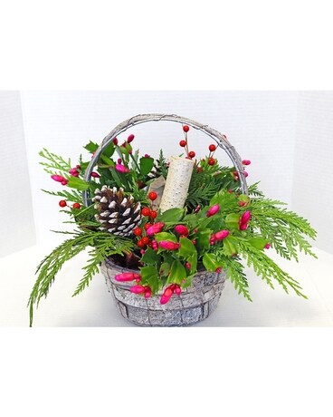 Cactus Basket Plant