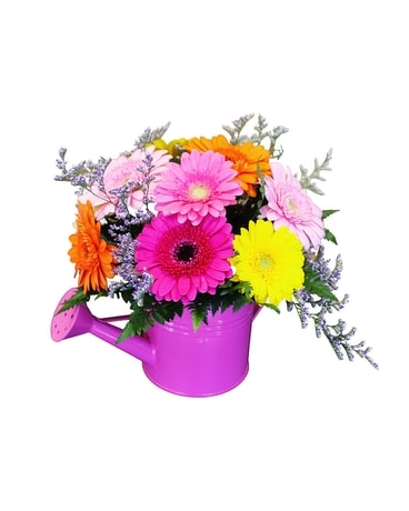 Gerber Daisy Watering Can Flower Arrangement