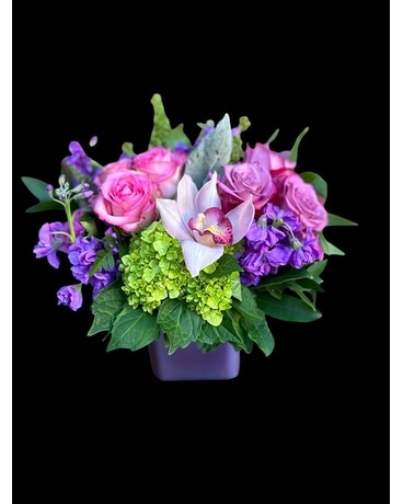 THINK PURPLE in Quincy MA - Fabiano Florist