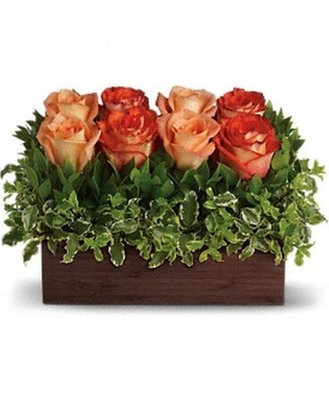 Teleflora's Uptown Bouquet T72-3 Flower Arrangement