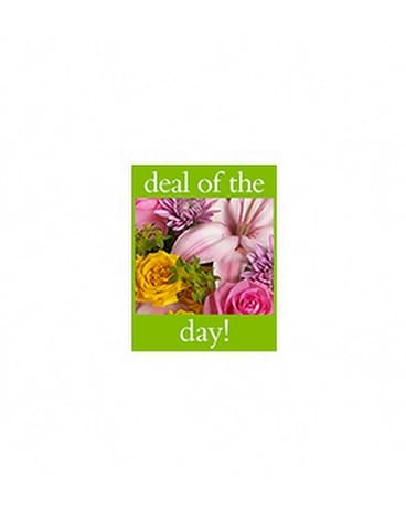 Deal of the Day Bouquet Flower Arrangement