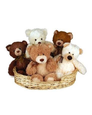 bear storage basket