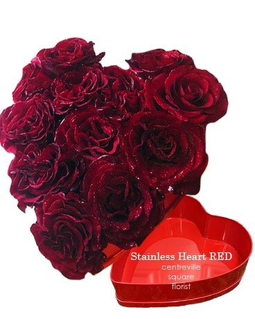 Modern Roses - Dozen Box Flower Arrangement