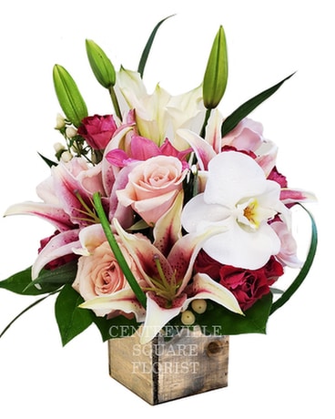 Exotic 2 Flower Arrangement