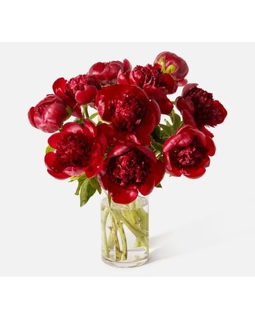 PeonyLove1 Flower Arrangement