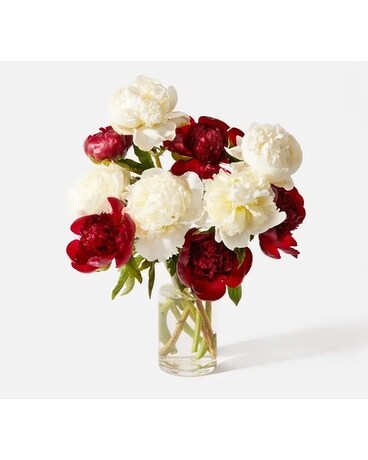 PeonyLove 2 Flower Arrangement