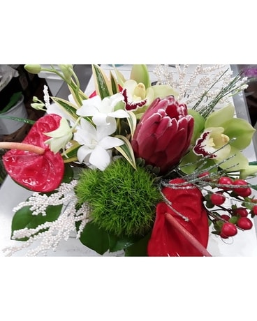 Small Tropical Christmas Container Arrangement Flower Arrangement