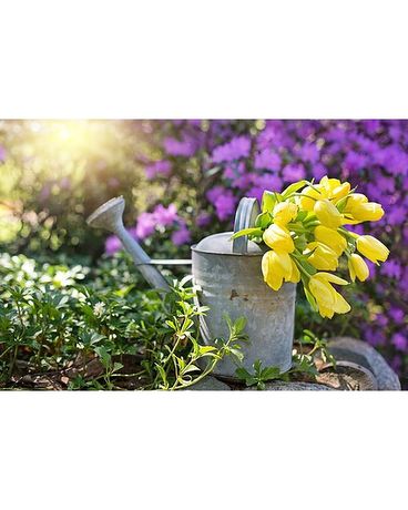 Spring Watercan Design Flower Arrangement