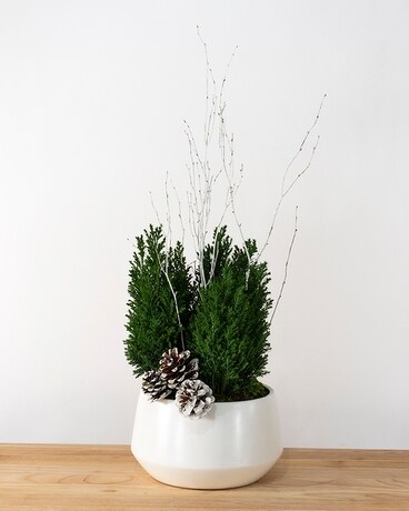Mountain Air Flower Arrangement