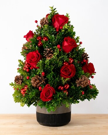 The Christmas Star Flower Arrangement