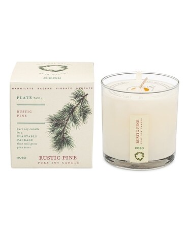 Kobo Rustic Pine Plant The Box Candle Gifts
