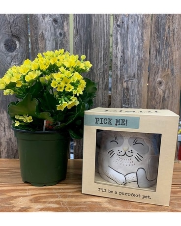 Furever Cat Planter