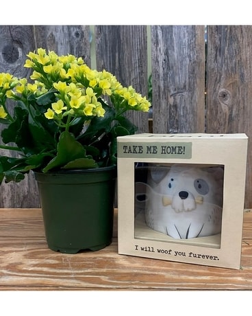 Furever Dog Planter
