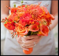 Coral Florals