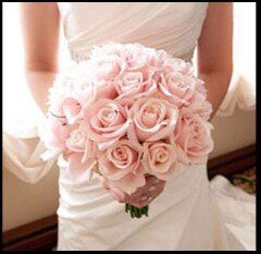 Pretty Pinks
